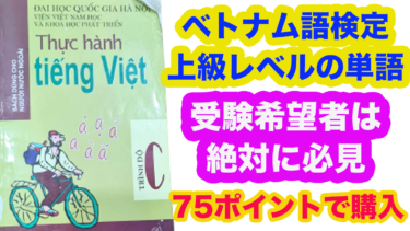 ベトナム語検定の上級の単語帳を75ポイントで購入
